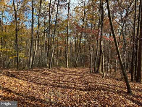 WOODLANDS DRIVE, FLINT HILL, VA 22627