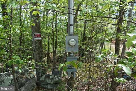 105 ARUM TRAIL, WINCHESTER, VA 22602