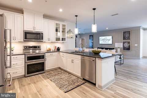 13230 PETREL STREET, CLARKSBURG, MD 20871