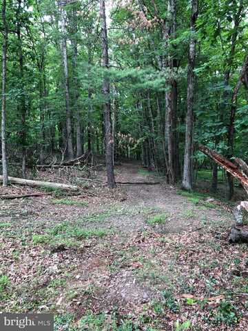 TIMBER RIDGE, BERKELEY SPRINGS, WV 25411