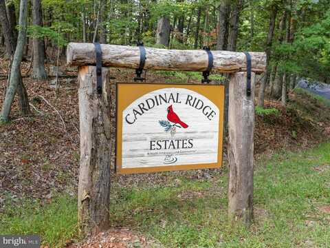 LOTS 5 & 13 CARDINAL RIDGE ESTATES, ROMNEY, WV 26757