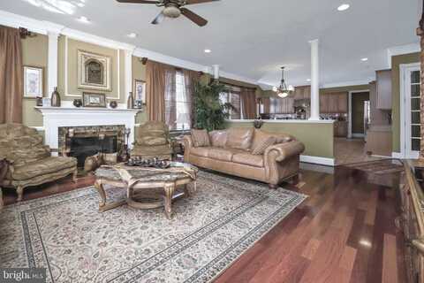 22807 VALLEY PRESERVE COURT, ASHBURN, VA 20148