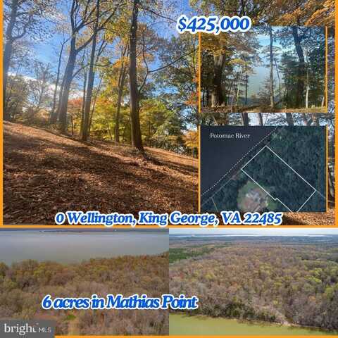 0 WELLINGTON, KING GEORGE, VA 22485