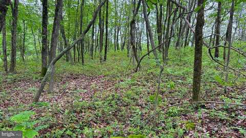 184 SALEM MOUNTAIN RD, CARBONDALE, PA 18407