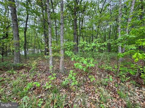 L15 02 ASH AVENUE, GALLOWAY, NJ 08205