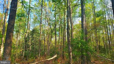 Lot 1045 POPLAR DR, LOUISA, VA 23093