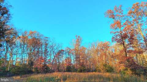 Lot 1045 POPLAR DR, LOUISA, VA 23093