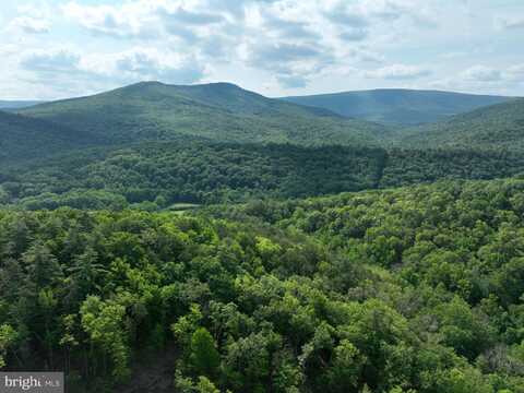 686.10 Acres THORN BOTTOM RD, WARDENSVILLE, WV 26851