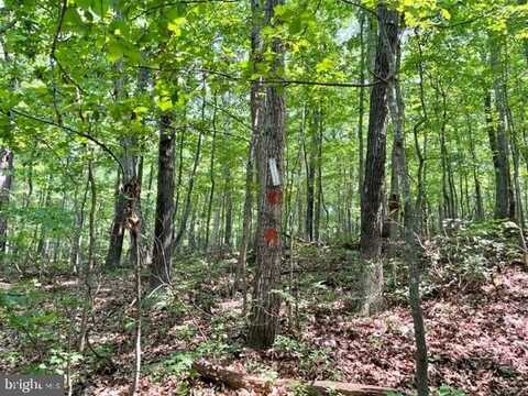 2016 VAUGHN SUMMIT ROAD, LURAY, VA 22835
