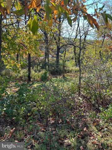 988 HORSEMAN DRIVE, AUBURN, PA 17922