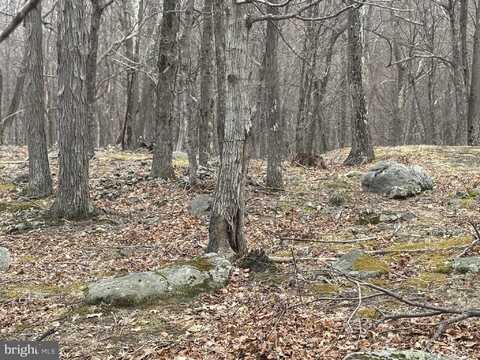 46 GOLDENSEAL ROAD, MAYSVILLE, WV 26833