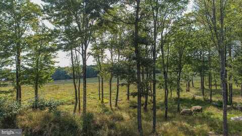 Lot 5 IRWIN WAY, MC HENRY, MD 21541