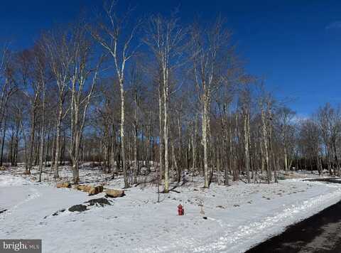 46 SANDSTONE CIRCLE, MC HENRY, MD 21541