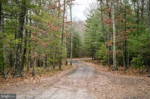 Lot 22 BUCK RIDGES ROAD, FRANKLIN, WV 26807