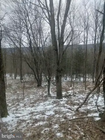9701 ROUTE 209, WILLIAMSTOWN, PA 17098