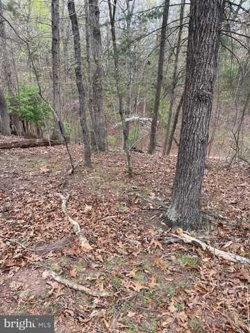 411 NORTHWOOD CIRCLE, CROSS JUNCTION, VA 22625