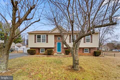 353 BUCK CASH DRIVE, WESTMINSTER, MD 21158