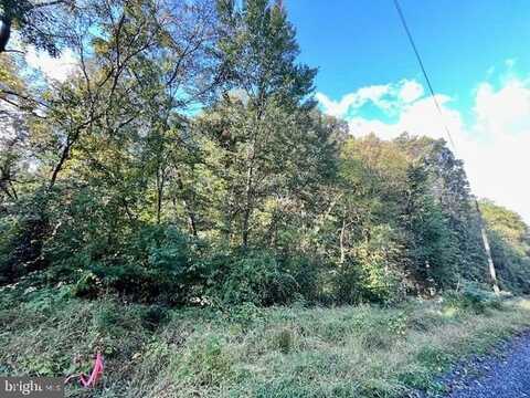 0 SHORT MOUNTAIN ROAD, EDINBURG, VA 22824