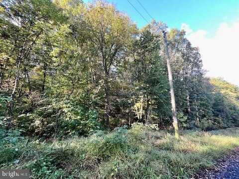 0 SHORT MOUNTAIN ROAD, EDINBURG, VA 22824