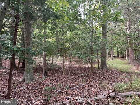 162-164 POWELL ROAD, WOODBINE, NJ 08270