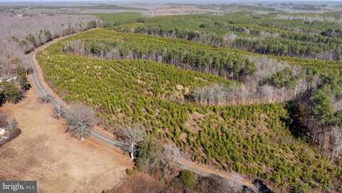 Lot 1 YELLOWBOTTOM ROAD, LIGNUM, VA 22726