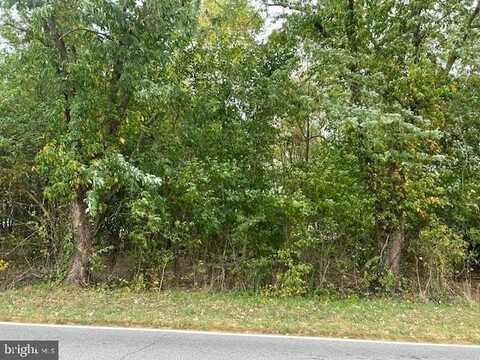 30205 MORGNEC ROAD, MILLINGTON, MD 21651