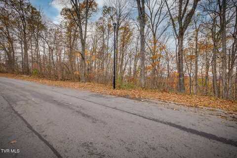 454 Hidden Acres Road, Kingsport, TN 37664