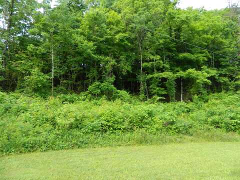 Little Valley Road, Kingsport, TN 37660