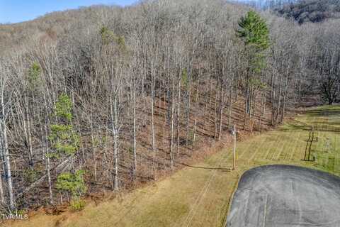 117 Buckner Drive, Roan Mountain, TN 37687