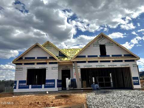 603 Canoe Street, Johnson City, TN 37604
