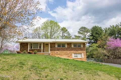 320 Bell Street, Blountville, TN 37617