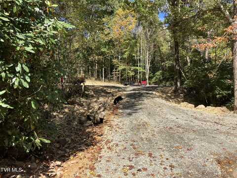 104ac Tbd Fire Tower Road, Mountain City, TN 37683