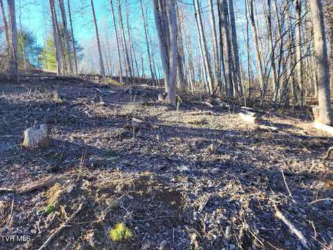Muskrat Ramble Road, Mountain City, TN 37683