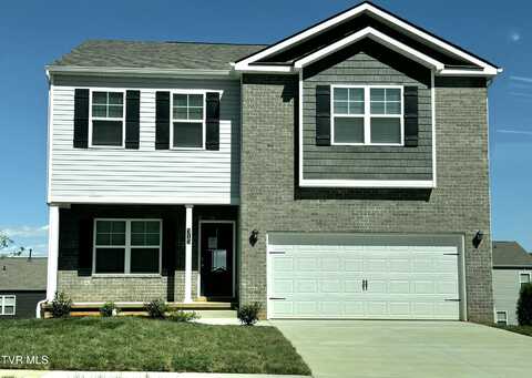 315 Terrapin Drive, Johnson City, TN 37604