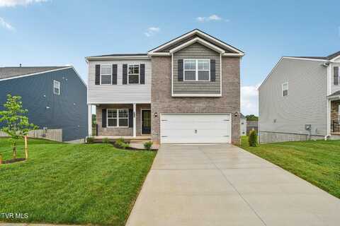 315 Terrapin Drive, Johnson City, TN 37604