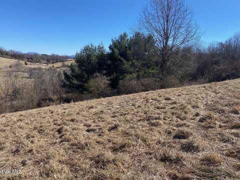 Tbd Azure Lane, Abingdon, VA 24211