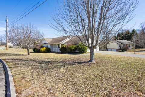 3 Patriot Point, Jonesborough, TN 37659