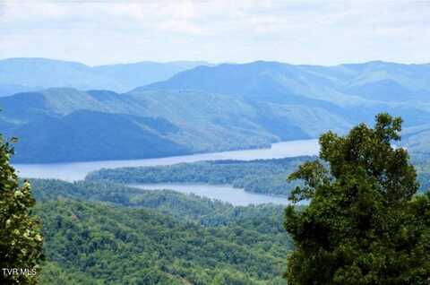 Vista Road lot: 32, Butler, TN 37640