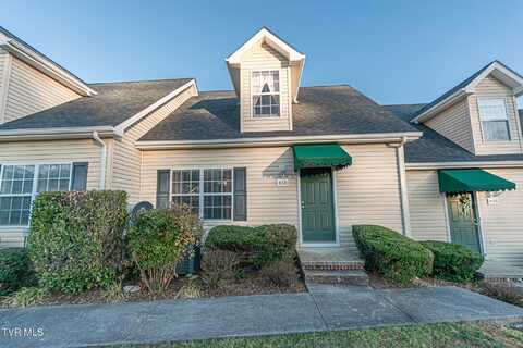 408 Stratford Court, Gray, TN 37615