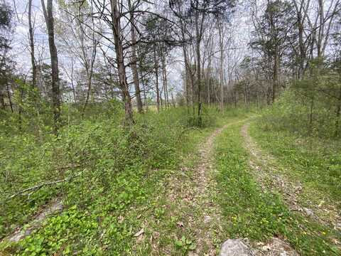 Melzoni Road, Pennington Gap, VA 24277