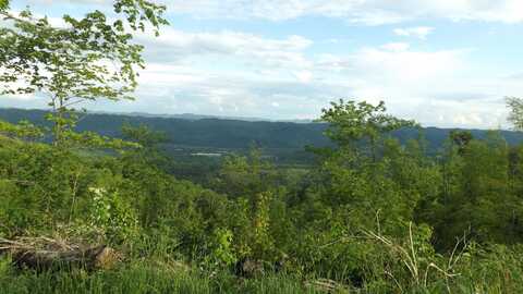 Osborne Ridge Road, Dungannon, VA 24245