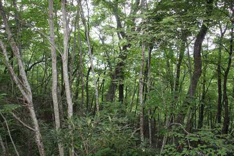 Seminole Drive, Mountain City, TN 37683