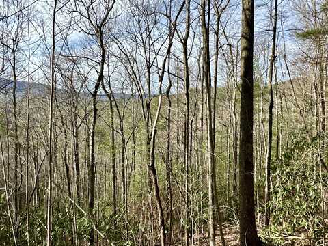 Lot No. 29 Clydesdale Way, Del Rio, TN 37727