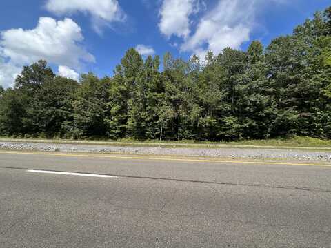 Beech Springs Road, Jonesville, VA 24263