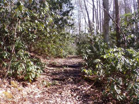 Hwy 133, Shady Valley, TN 37688