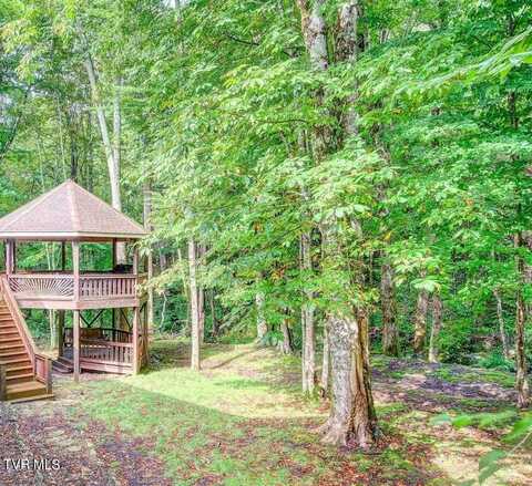 206 Toms Creek Circle Circle, Roan Mountain, TN 37687