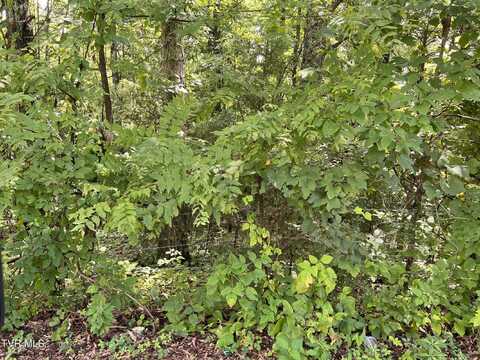 0 Madeline Lane, Rogersville, TN 37857