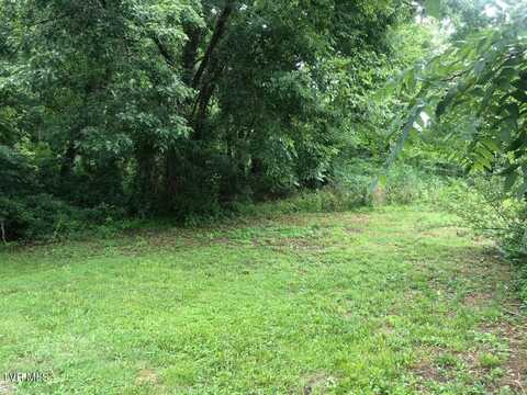 S Hamblen Street, Big Stone Gap, VA 24219