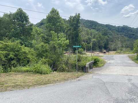 Dry Fork Road, Vansant, VA 24656