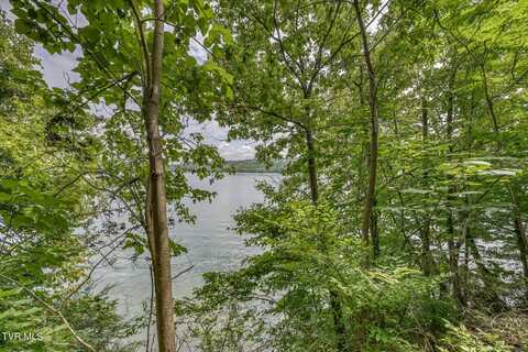 Furches Drive lot: 24, Gray, TN 37615